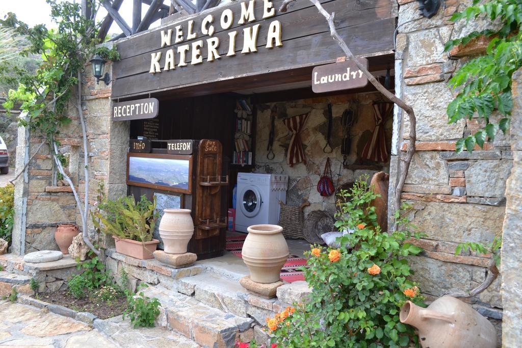 Katerina Apartments Káto Zákros Kültér fotó